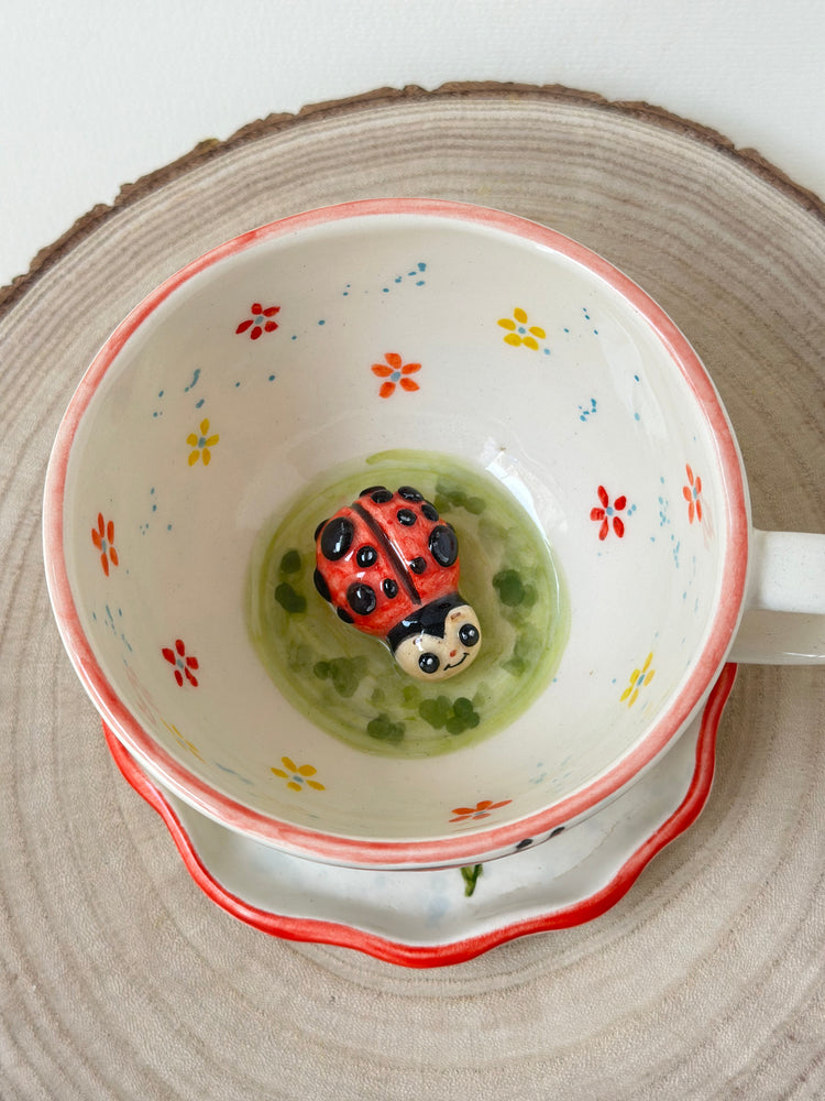 Ladybird handmade mug and plate